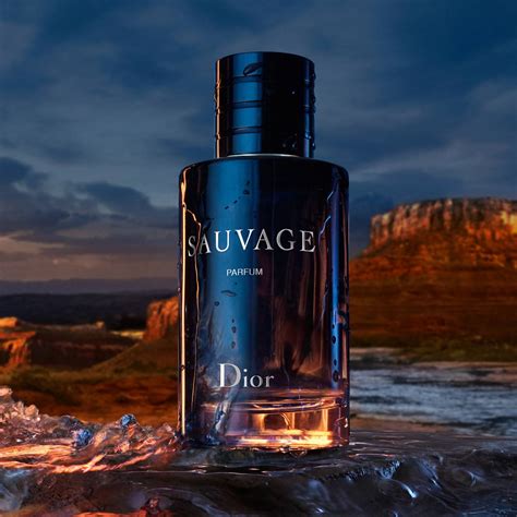 sauvage dior parfum spray|sauvage best price.